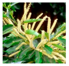 Applsci 10 01776 i006 Applsci 10 01776 i006