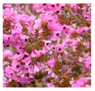 Applsci 10 01776 i007 Applsci 10 01776 i007