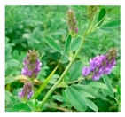 Applsci 10 01776 i012 Applsci 10 01776 i012