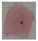 Applsci 10 01800 i001 Applsci 10 01800 i001