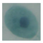 Applsci 10 01800 i009 Applsci 10 01800 i009