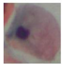 Applsci 10 01800 i041 Applsci 10 01800 i041