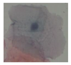 Applsci 10 01800 i046 Applsci 10 01800 i046