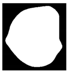 Applsci 10 01800 i059 Applsci 10 01800 i059