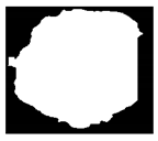 Applsci 10 01800 i063 Applsci 10 01800 i063