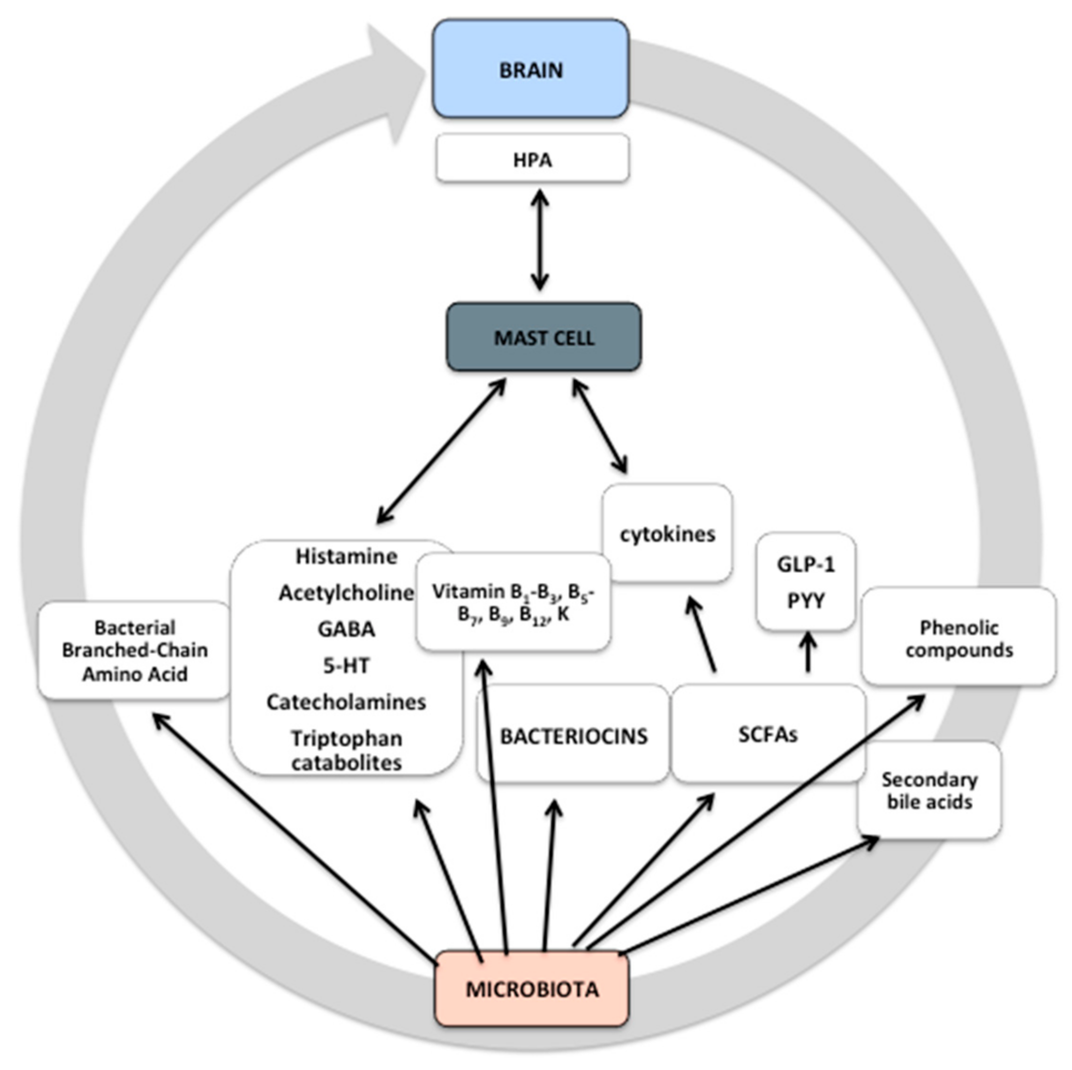 Applsci 10 01828 g001 Applsci 10 01828 g001