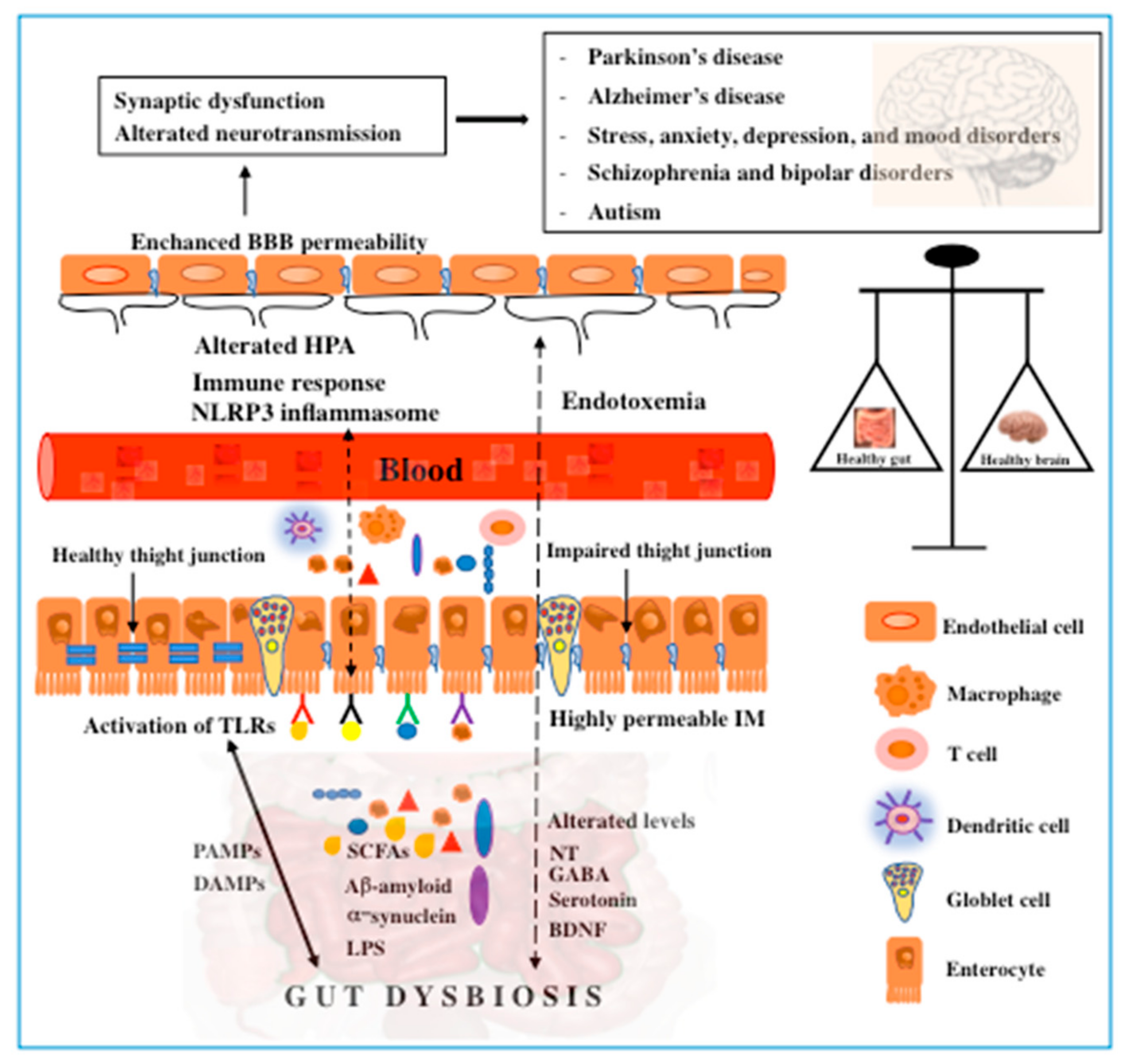 Applsci 10 01828 g002 Applsci 10 01828 g002