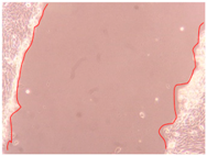 Applsci 10 01845 i001 Applsci 10 01845 i001