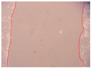 Applsci 10 01845 i002 Applsci 10 01845 i002