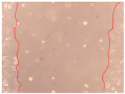 Applsci 10 01845 i004 Applsci 10 01845 i004