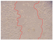 Applsci 10 01845 i005 Applsci 10 01845 i005