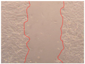 Applsci 10 01845 i006 Applsci 10 01845 i006