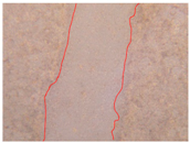 Applsci 10 01845 i007 Applsci 10 01845 i007