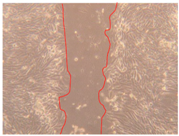 Applsci 10 01845 i009 Applsci 10 01845 i009