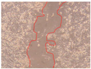 Applsci 10 01845 i010 Applsci 10 01845 i010