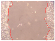 Applsci 10 01845 i011 Applsci 10 01845 i011