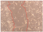 Applsci 10 01845 i013 Applsci 10 01845 i013