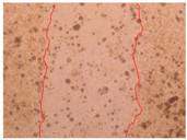 Applsci 10 01845 i015 Applsci 10 01845 i015