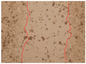 Applsci 10 01845 i016 Applsci 10 01845 i016