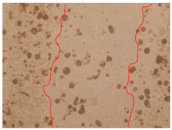 Applsci 10 01845 i019 Applsci 10 01845 i019