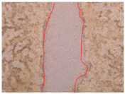 Applsci 10 01845 i022 Applsci 10 01845 i022