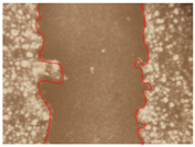 Applsci 10 01845 i023 Applsci 10 01845 i023