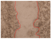 Applsci 10 01845 i028 Applsci 10 01845 i028