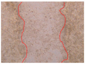 Applsci 10 01845 i042 Applsci 10 01845 i042