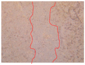 Applsci 10 01845 i043 Applsci 10 01845 i043