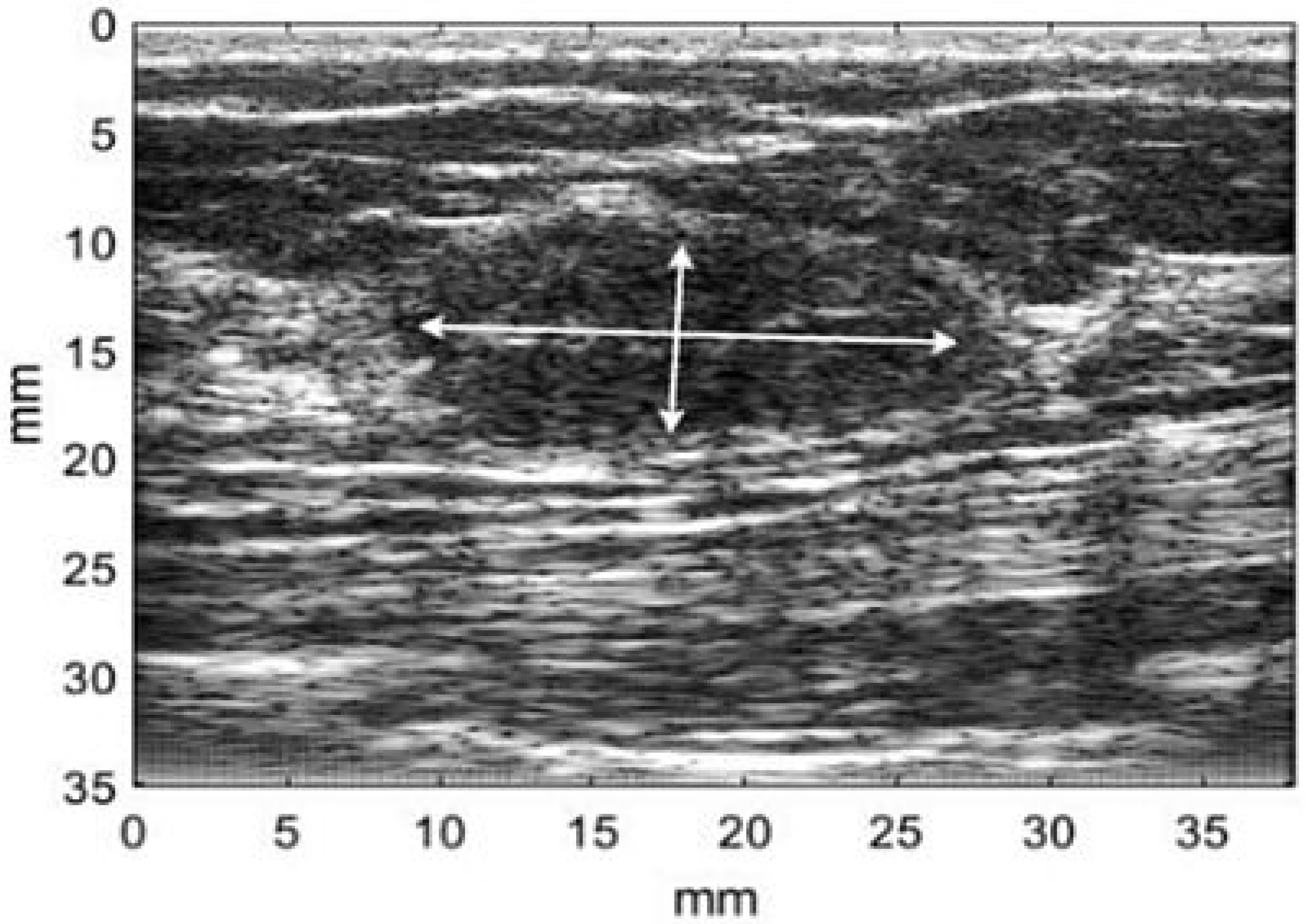 Applsci 10 01900 g002