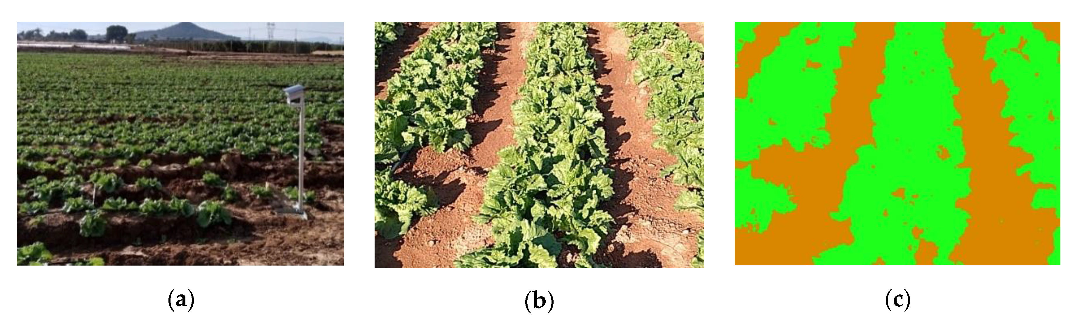 Applsci 10 01912 g004