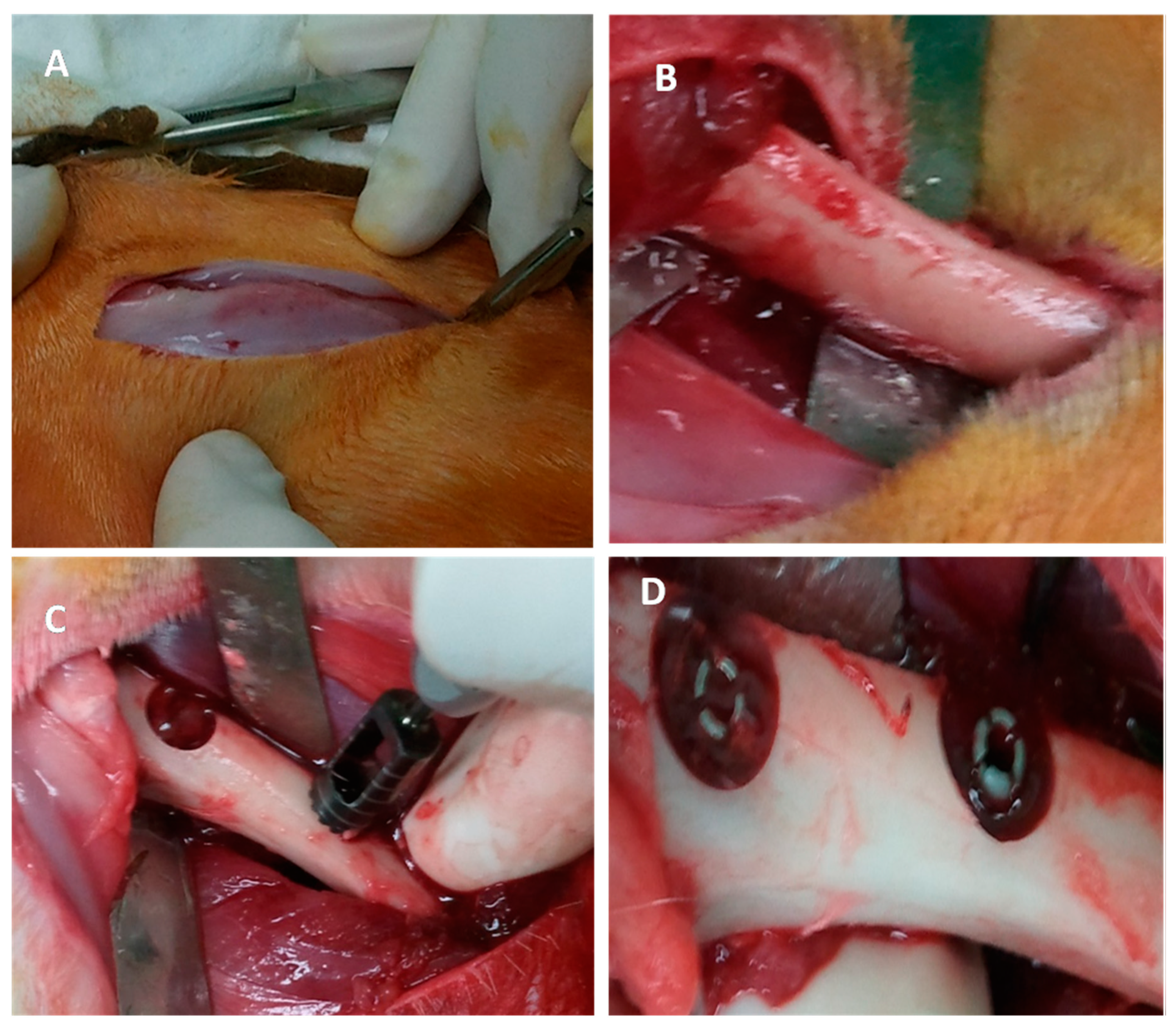 Applsci 10 01939 g001