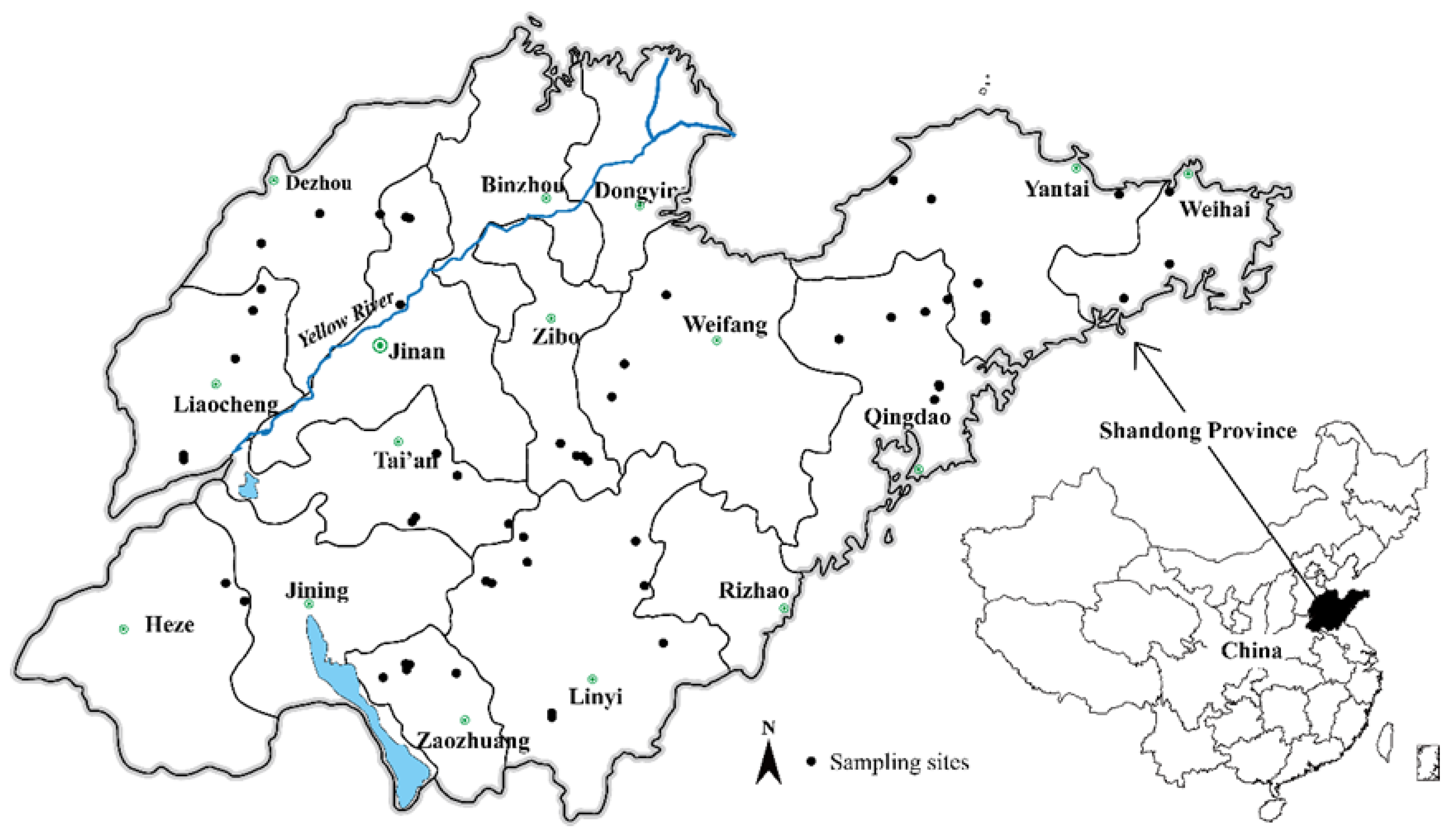 Applsci 10 01963 g001