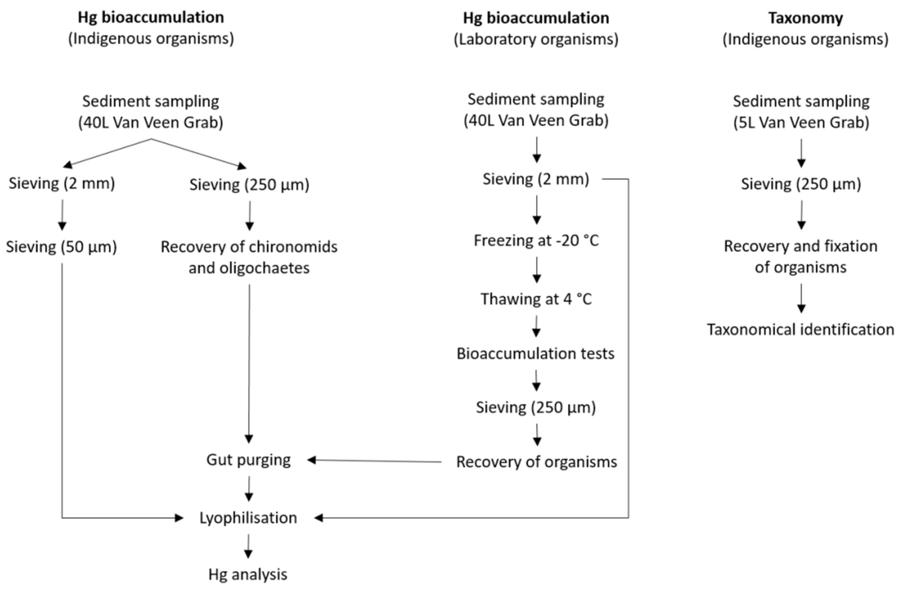 Applsci 10 01970 g002