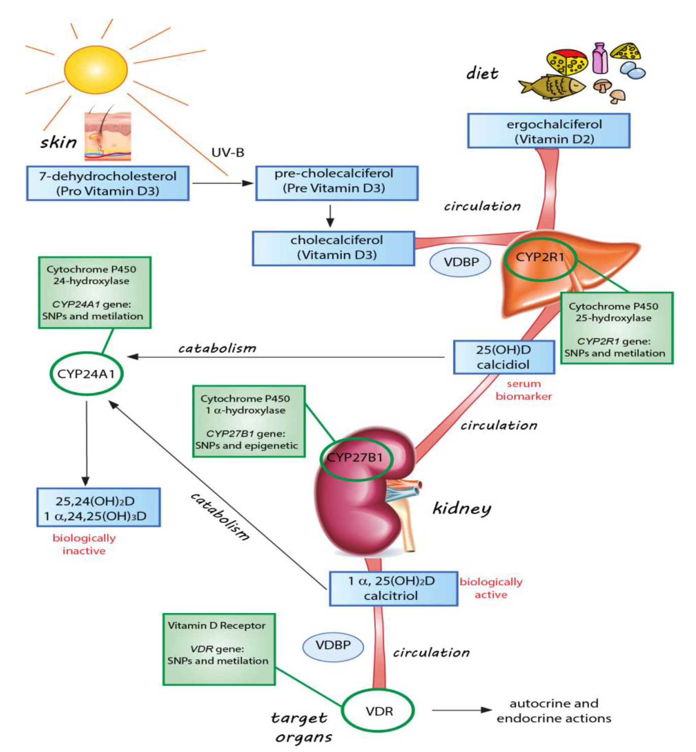 Applsci 10 01973 g001