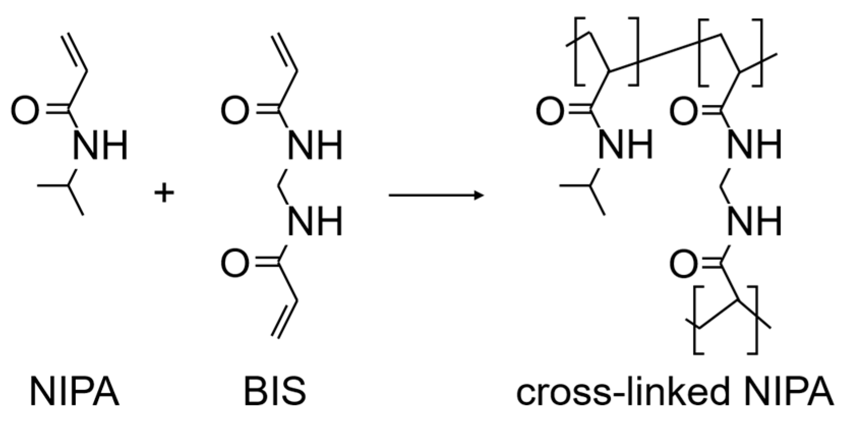 Applsci 10 02016 g001