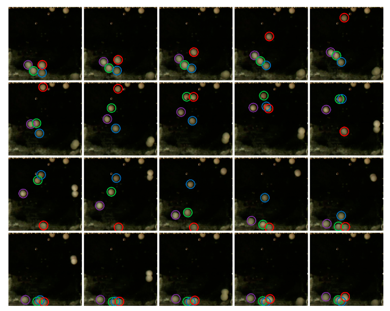 Applsci 10 02016 g012