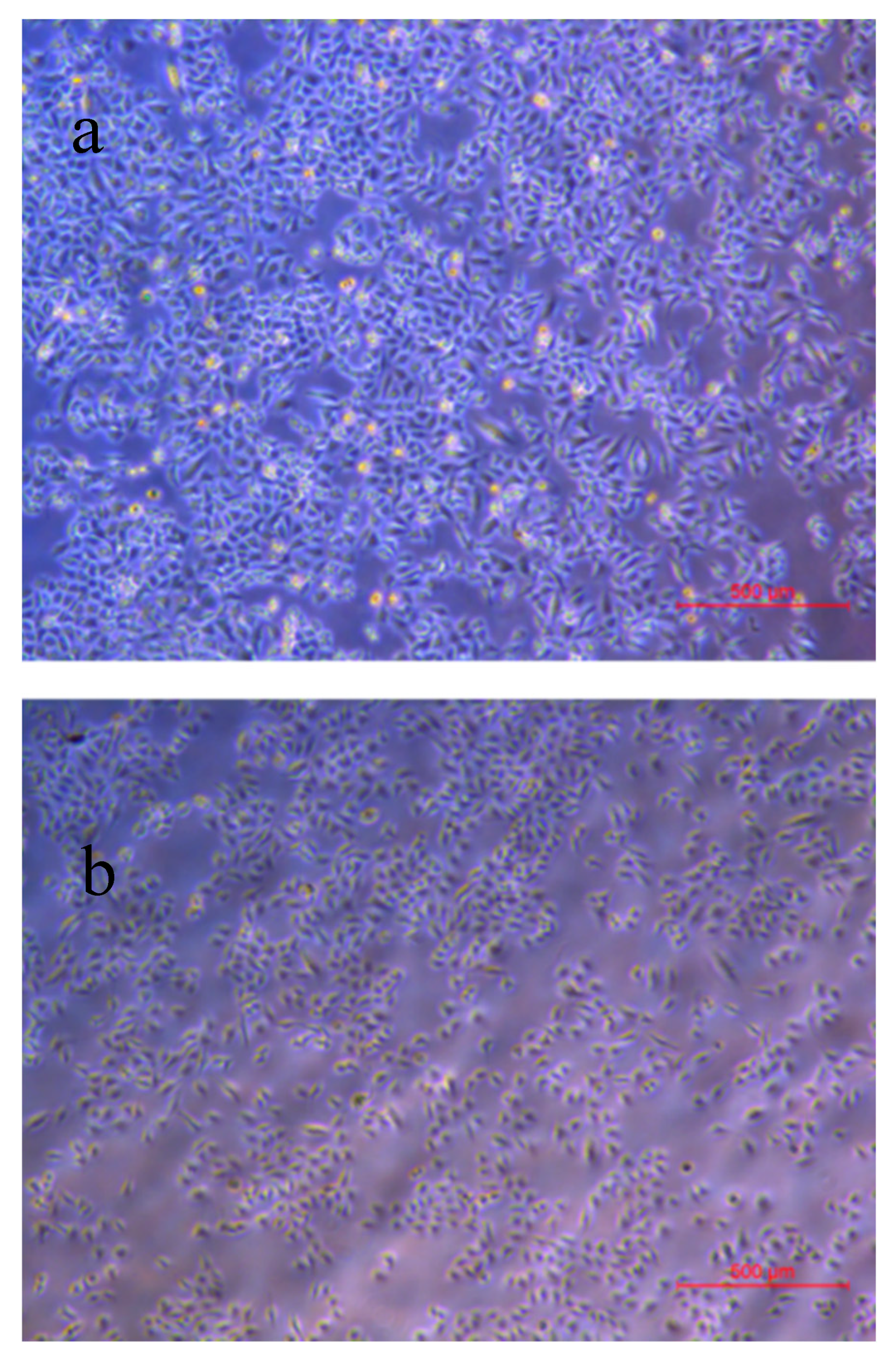 Applsci 10 02065 g001