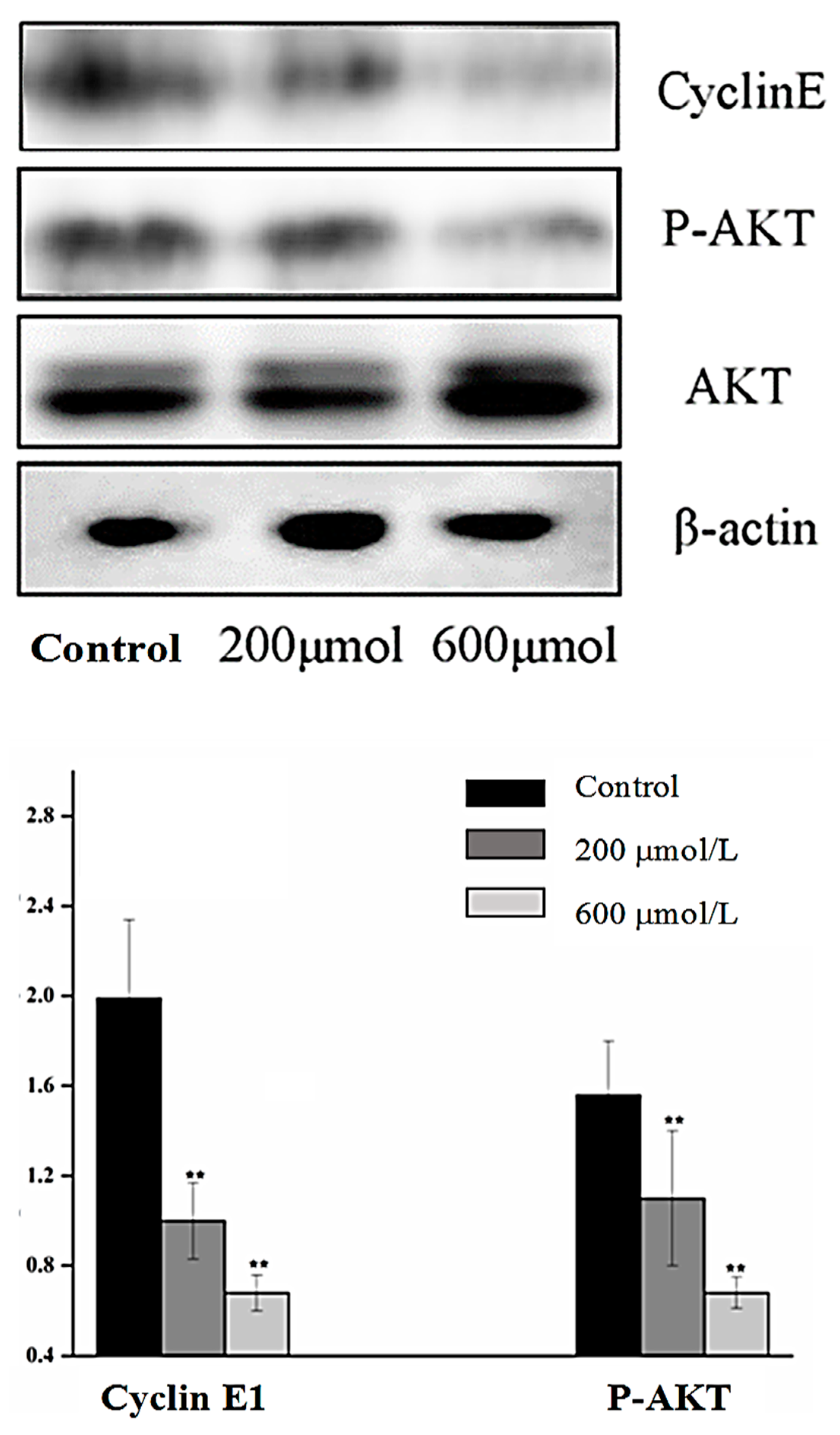 Applsci 10 02065 g003