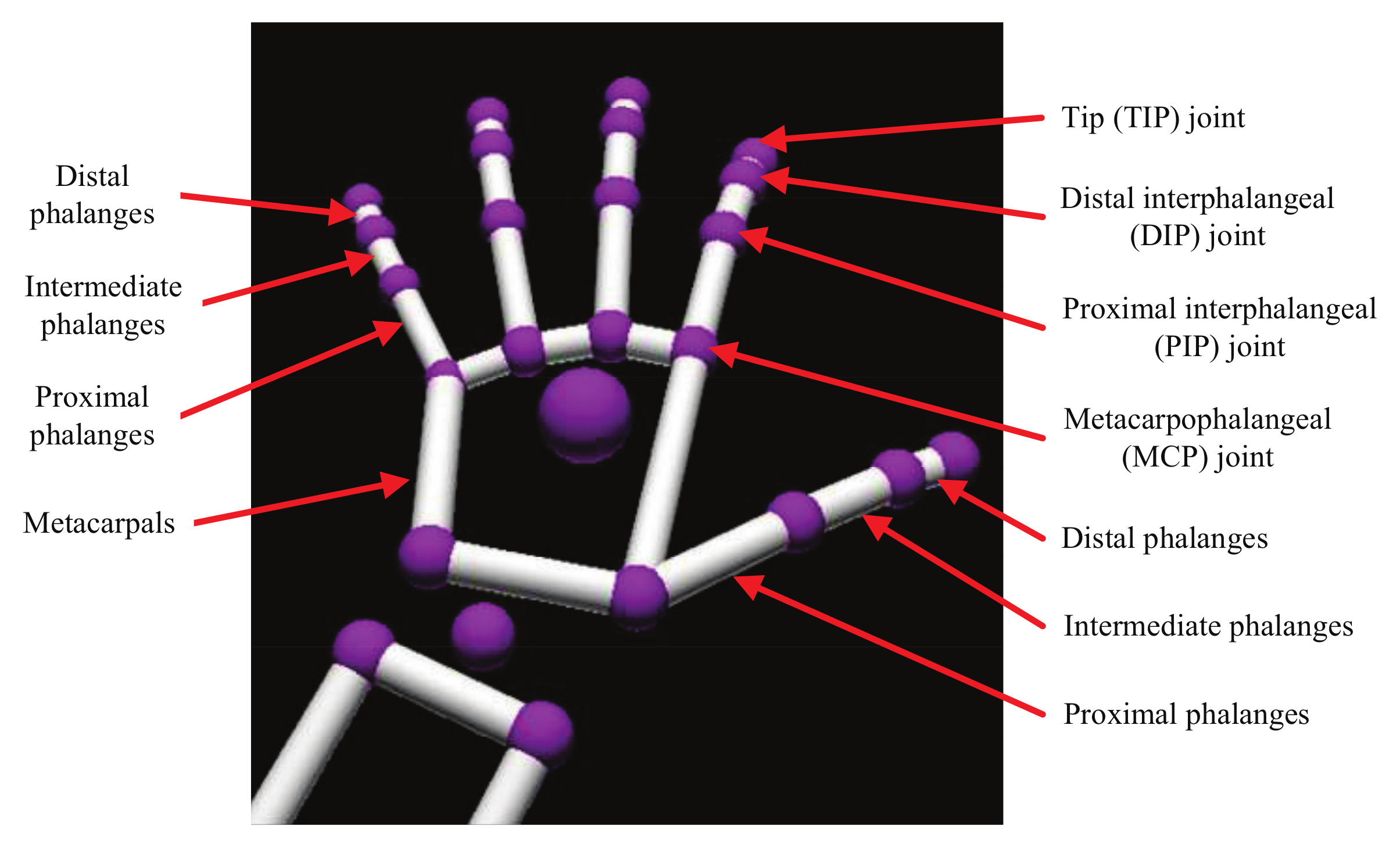 Applsci 10 02086 g004