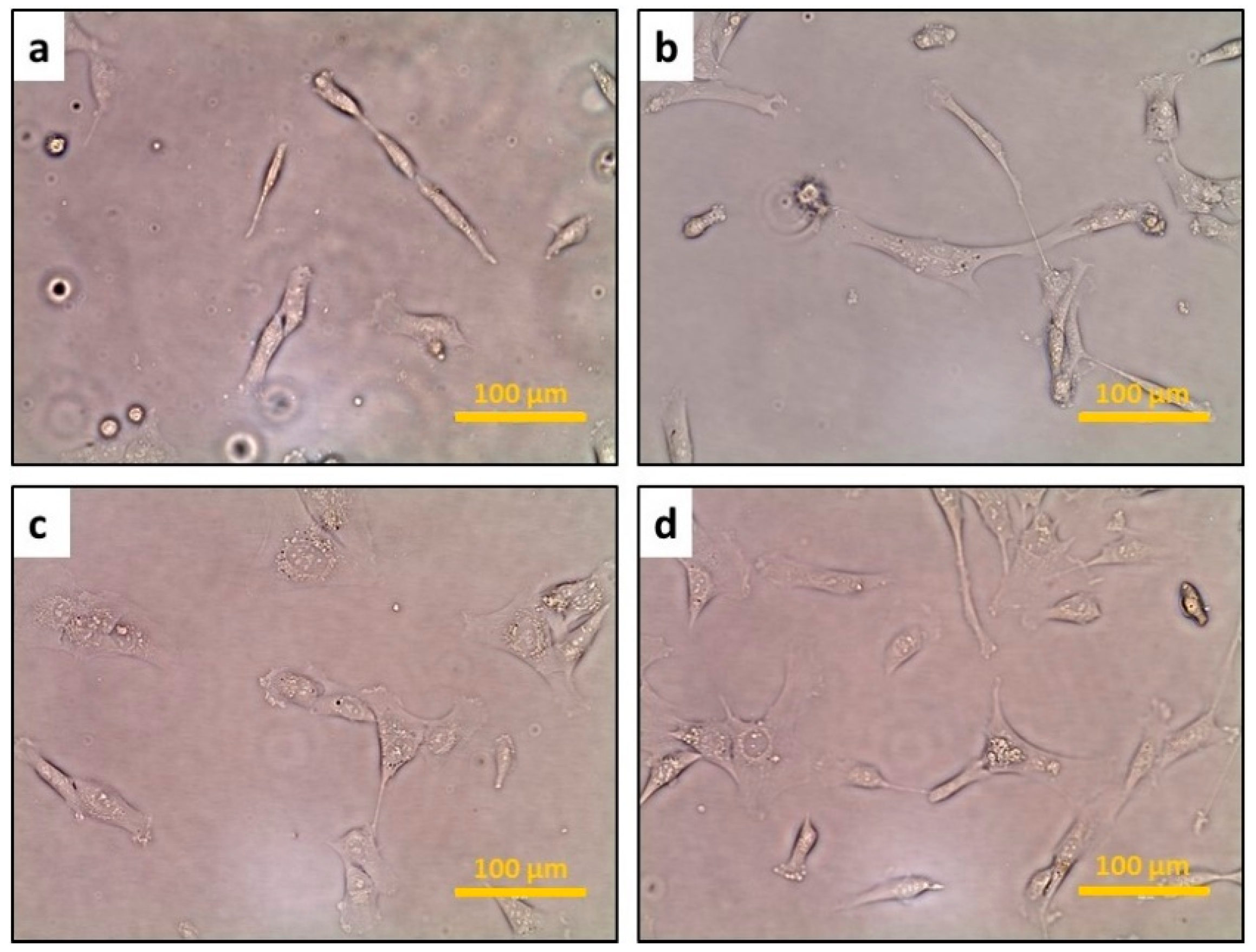 Applsci 10 02114 g001