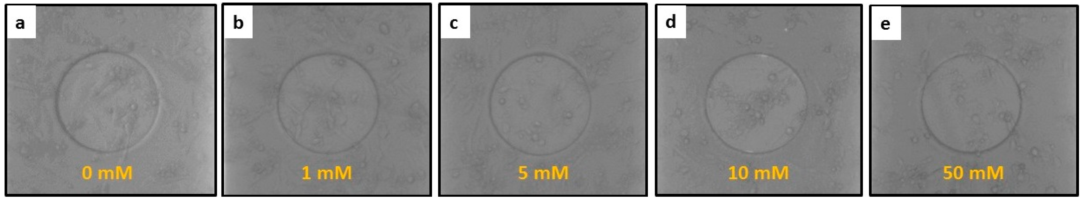 Applsci 10 02114 g002