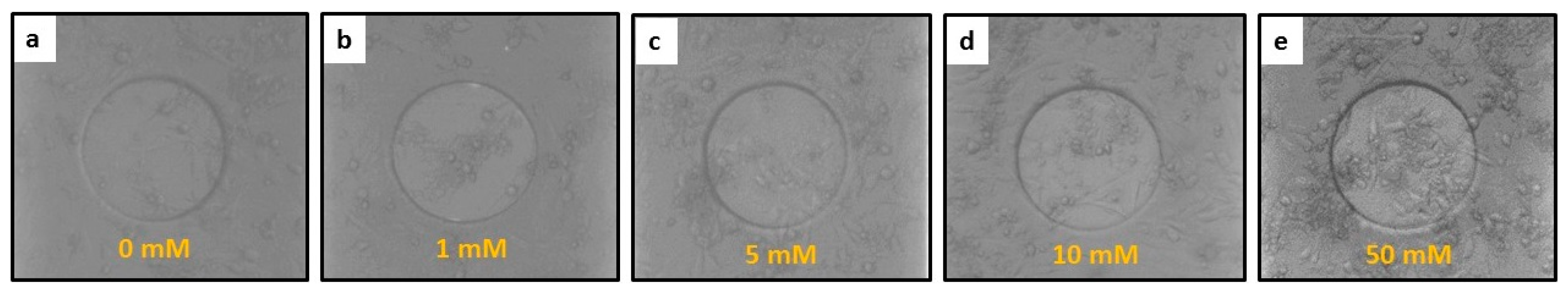 Applsci 10 02114 g003