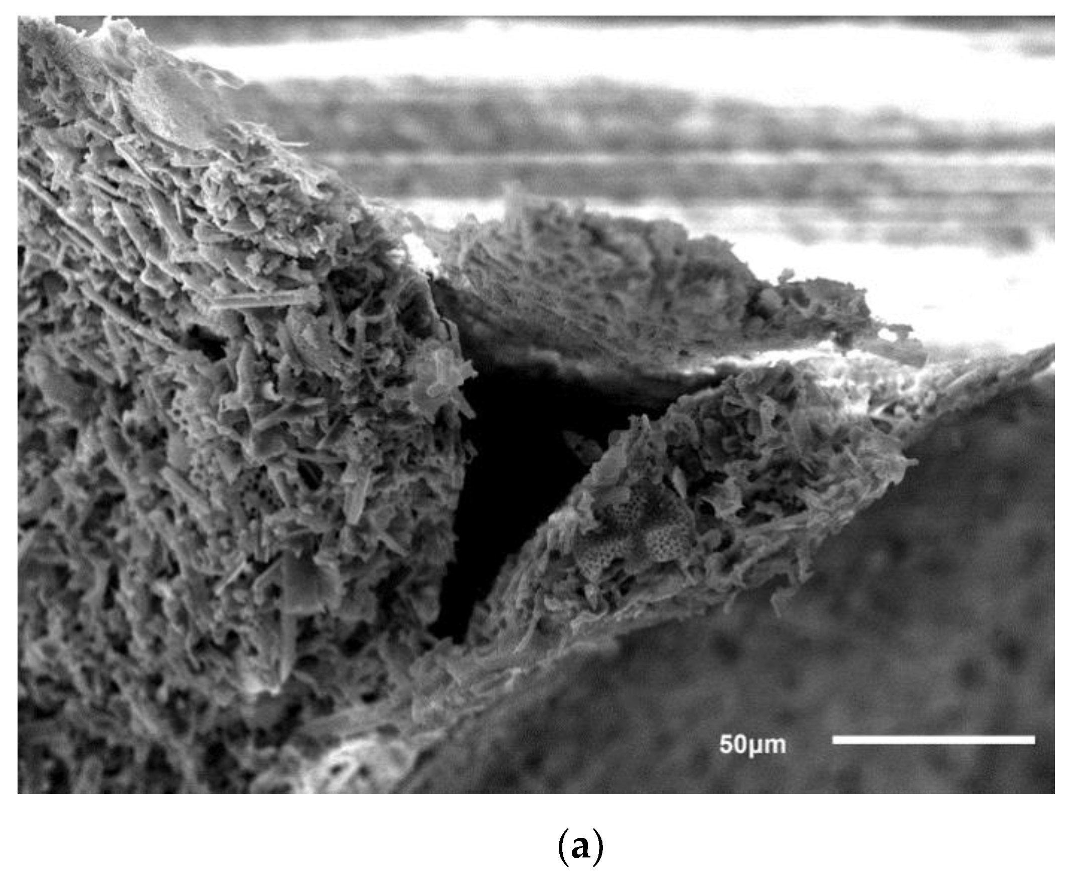 Applsci 10 02125 g004a Applsci 10 02125 g004a