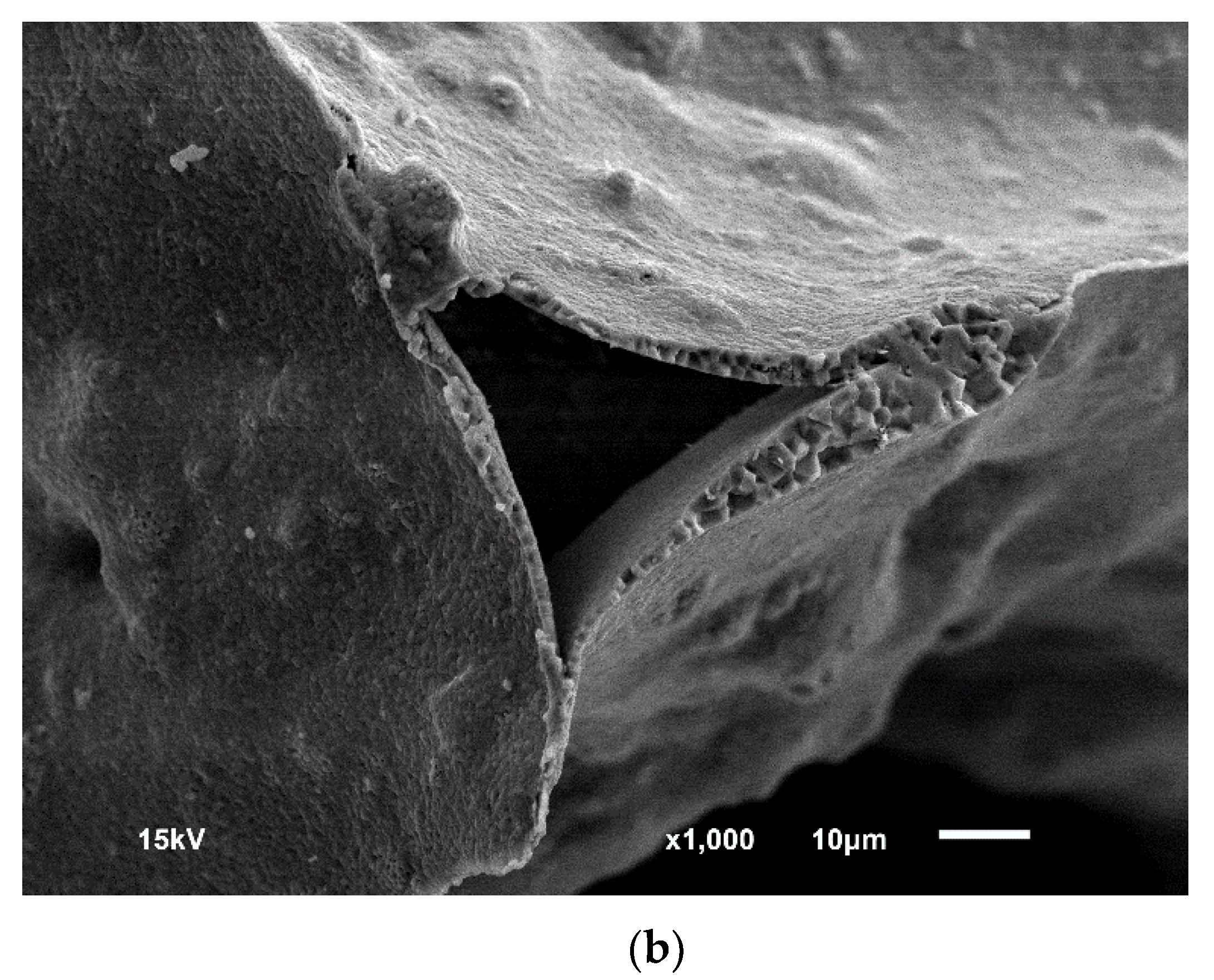 Applsci 10 02125 g004b Applsci 10 02125 g004b