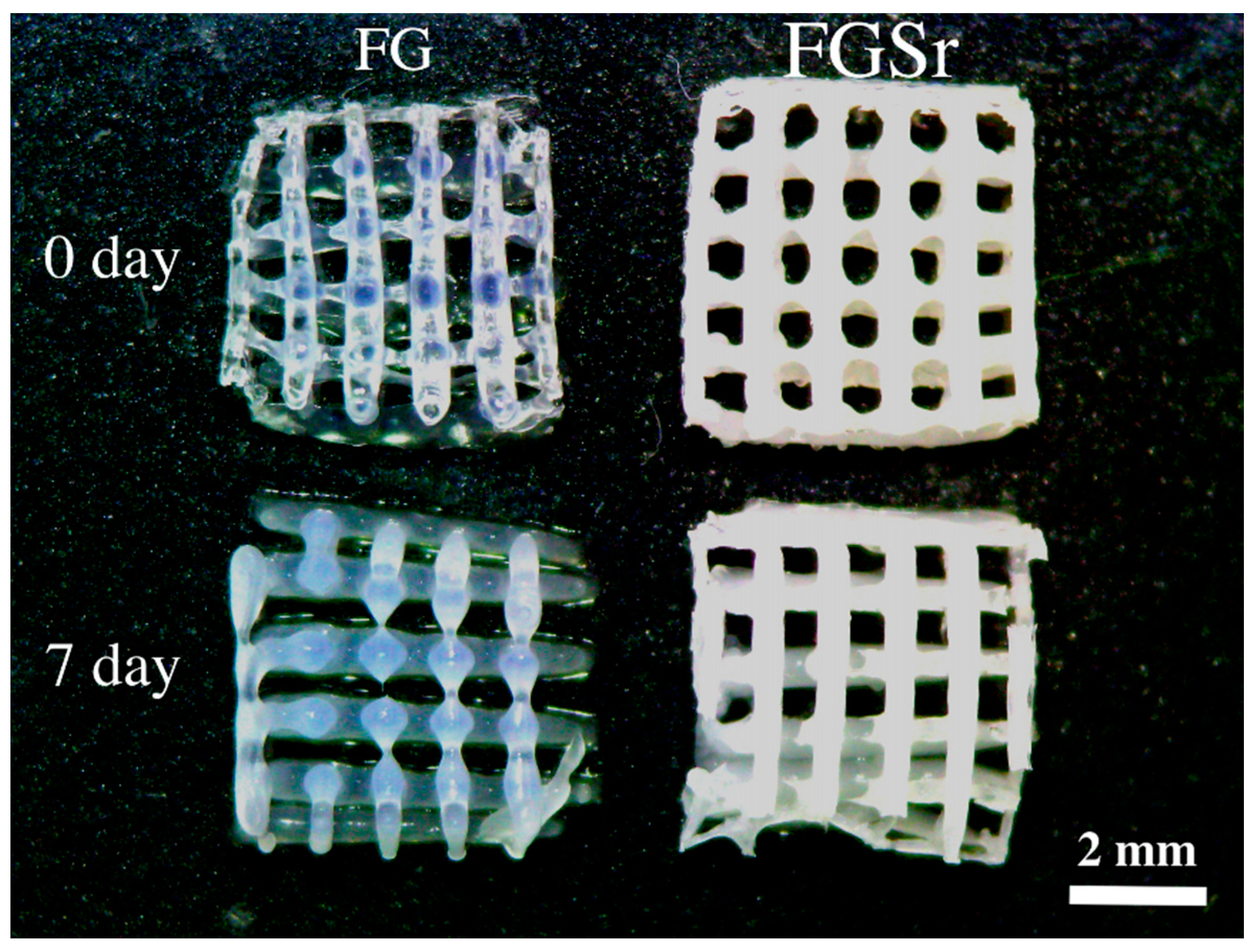 Applsci 10 02168 g001 Applsci 10 02168 g001