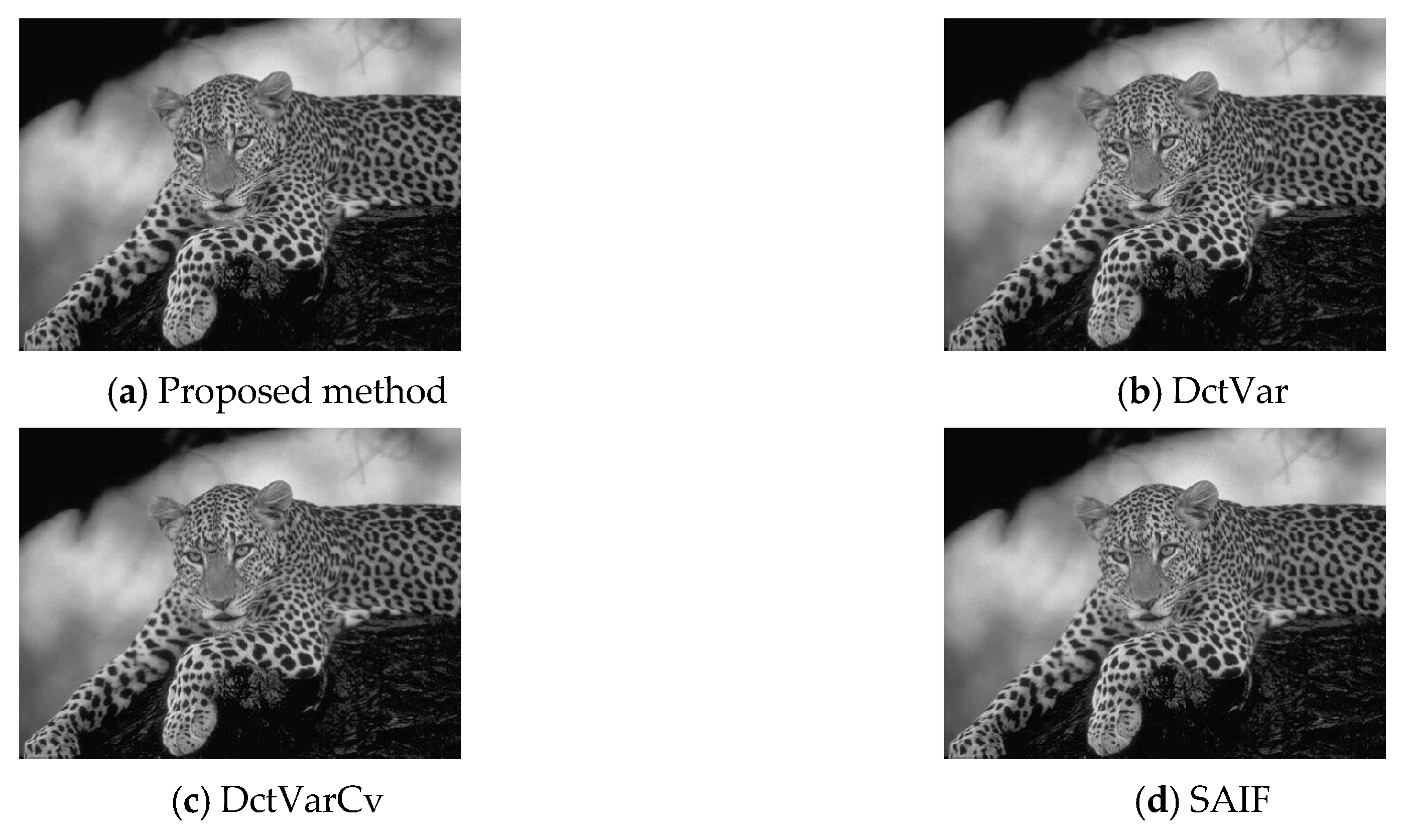 Applsci 10 02178 g013