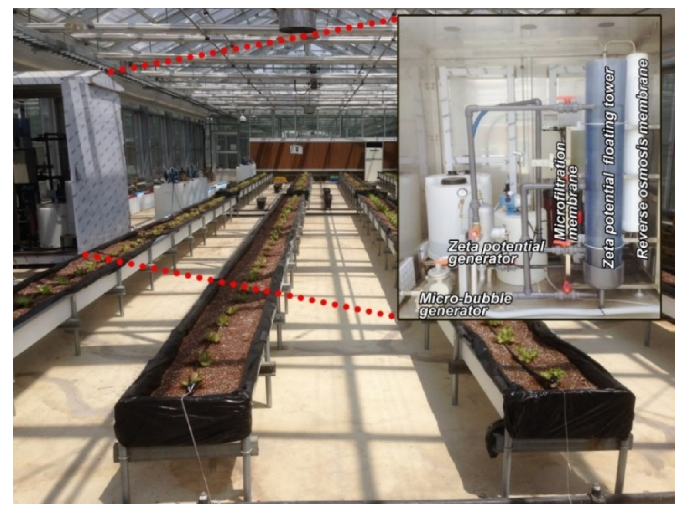 Applsci 10 02207 g001