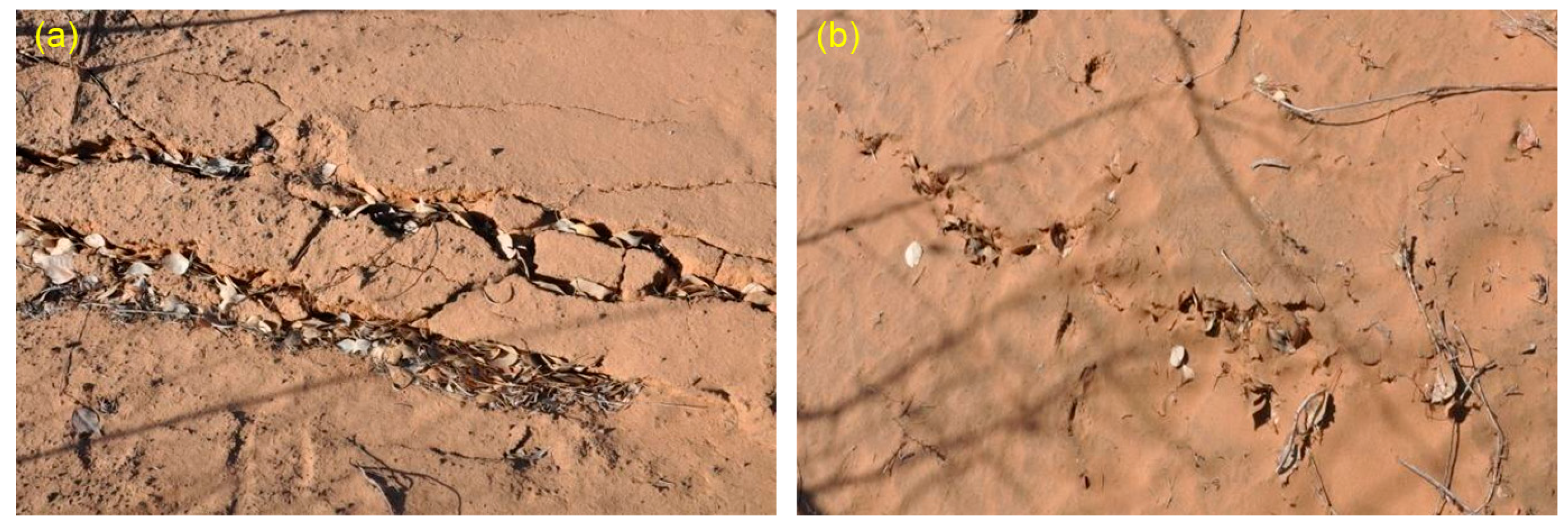 Applsci 10 02258 g007