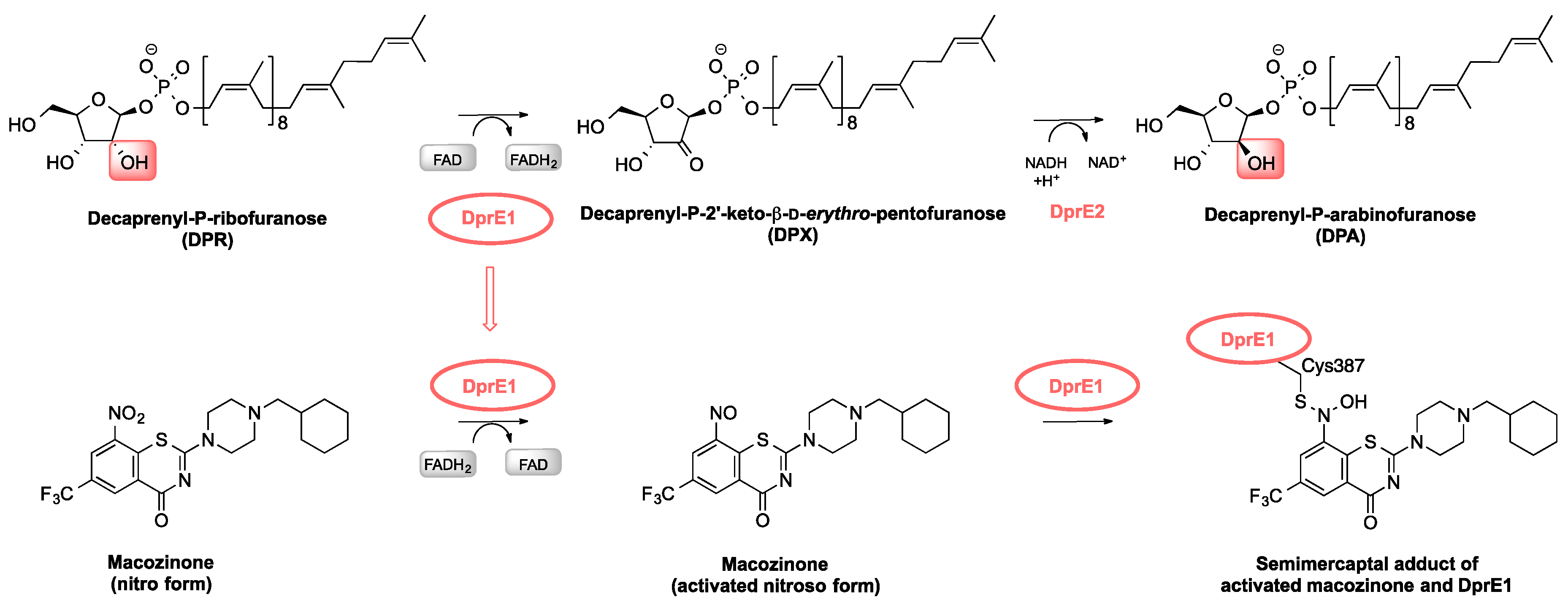 Applsci 10 02269 g002 Applsci 10 02269 g002